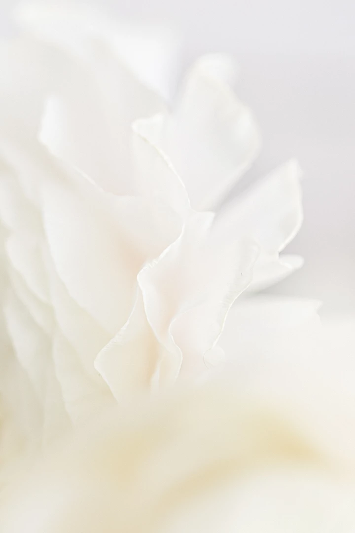 Inspiration Printemps